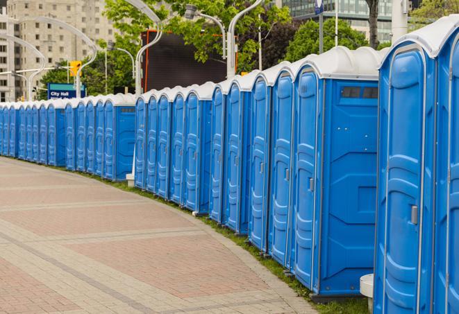 a fleet of portable restrooms ready for use at a large outdoor wedding or celebration in Avon